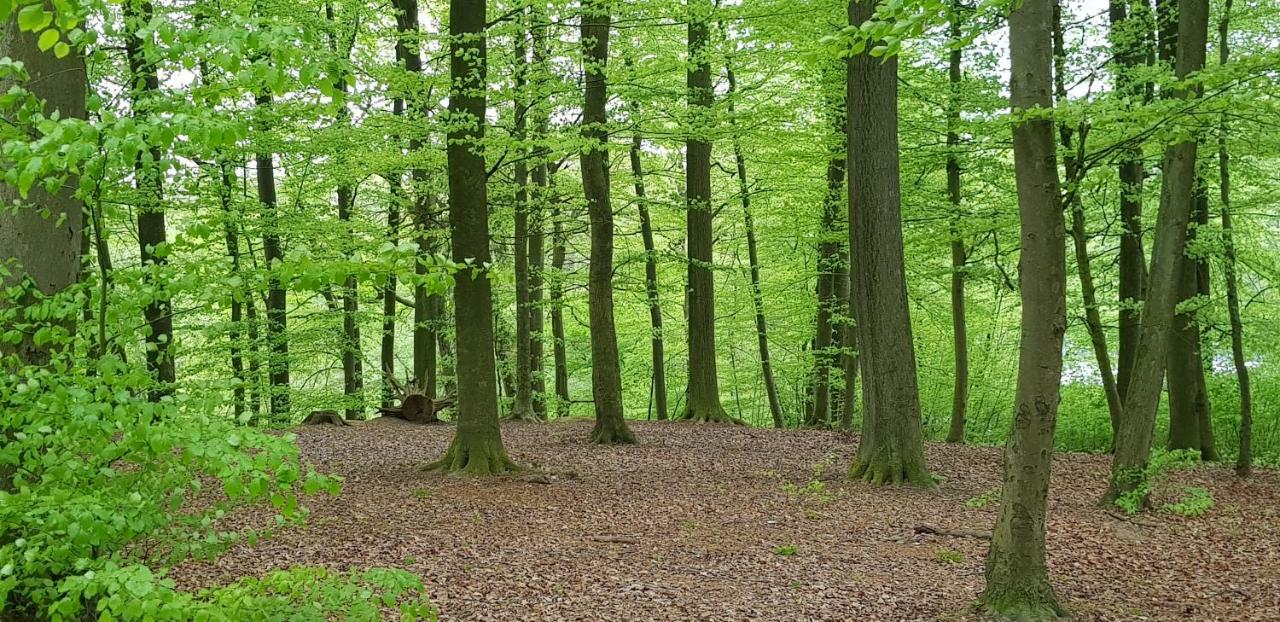 Ferienhaus Heide Bad Fallingbostel Eksteriør billede